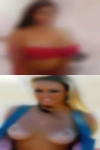 Palmavillicana872, , 