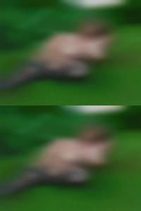 MathisCallender, Colorado MathisCallender, Colorado