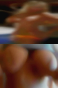 Wiechficken, , 
