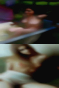 Lanieterry, , 