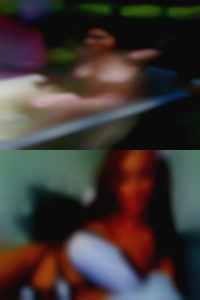 stefaolea, , 